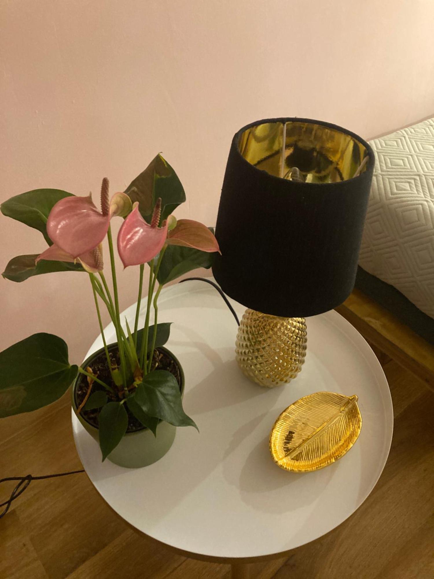 Duomo Suites Floransa Dış mekan fotoğraf